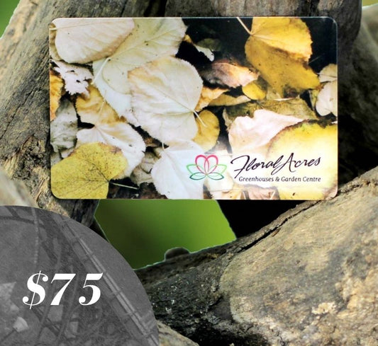 Physical Gift Card, $75.00 - Floral Acres Greenhouse & Garden Centre