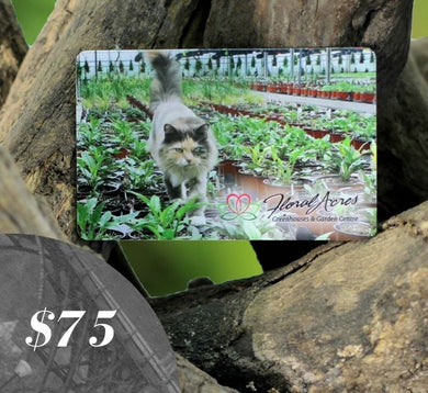 Physical Gift Card, $75.00 - Floral Acres Greenhouse & Garden Centre