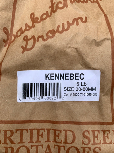 Seed Potato - Kennebec, 5lb Bag - Floral Acres Greenhouse & Garden Centre