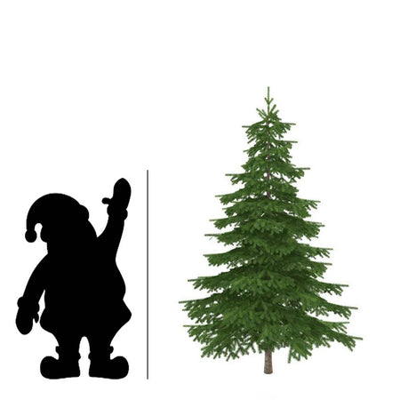 Christmas Tree, 7-9ft, BC Douglas Fir